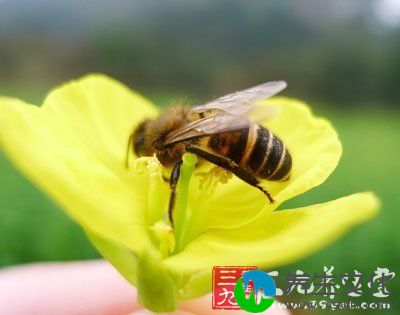 养生名人于康 不喝有色饮料