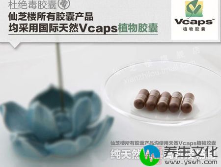 仙芝楼所有胶囊产品均采用国际天然Vcaps植物胶囊