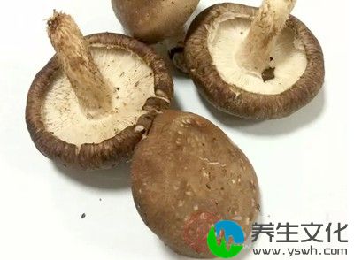 菌菇类：菌菇类的食物可以增强宝宝免疫力