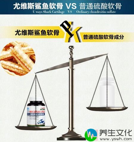 尤维斯鲨鱼软骨VS普通硫酸软骨