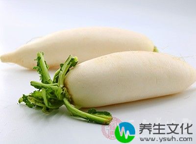 做法：大白萝卜1个，蜂蜜30克，白胡椒5粒，麻黄2克