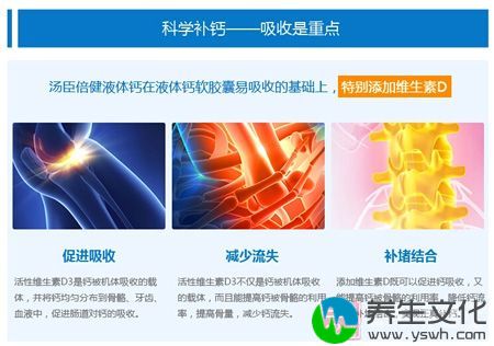 科学补钙——吸收是重点