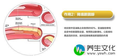 纳豆脂中亚油酸占全脂质的50%