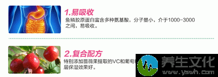 鱼鳞胶原蛋白富含多种氨基酸，分子量小