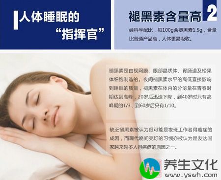 人体睡眠的“指挥官”