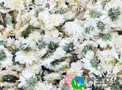 干菊花20克，粳米100克，白糖适量