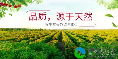 养生堂牌天然维生素C咀嚼片源于天然