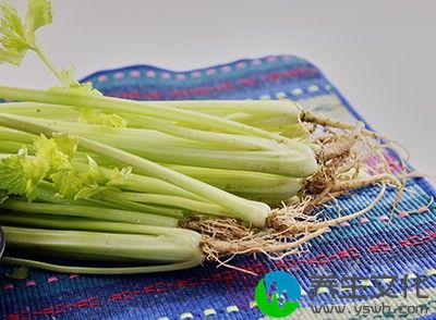 芹菜中膳食纤维较多，起到了清洁肠道、促进消化作用