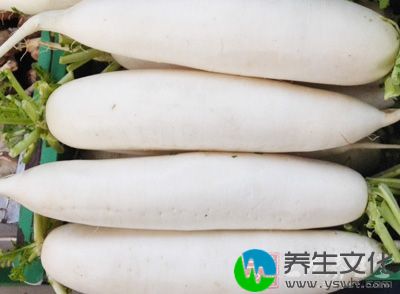 大白萝卜是很多家庭冬季餐桌上不可缺少的菜肴