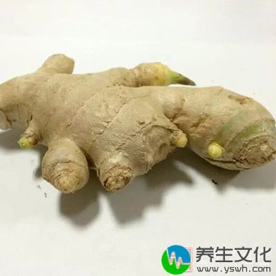 生姜是我们餐桌上常吃的一种食材