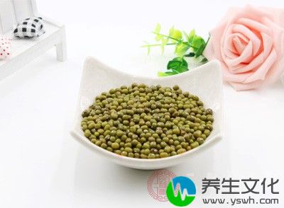 准备绿豆50g、扁豆30g