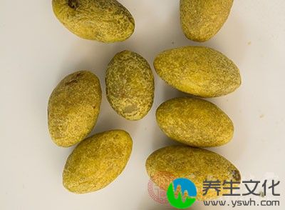 咸橄榄芦根茶：取咸橄榄2枚，芦根30克。将上药加水2碗半煎至1碗后去渣取汁