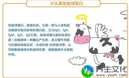 什么是免疫球蛋白