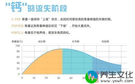 钙的流失阶段