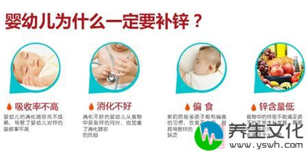 婴幼儿为什么一应要补锌