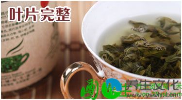 罗布麻茶