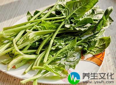 菠菜因富含营养而被称为超级食物