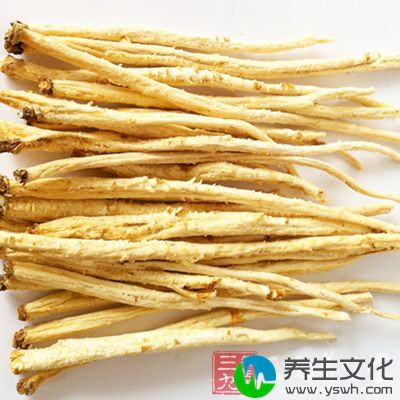 沙参治热病伤阴：用于胃阴不足的舌红少津，咽干口燥，食少纳呆者，北沙参可与石斛、天花粉、准山药、生谷芽等同用。