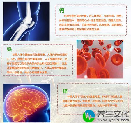 钙铁锌是人体不可缺少的微量元素