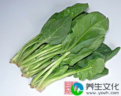 菠菜可以算是补血蔬菜中的重要食物