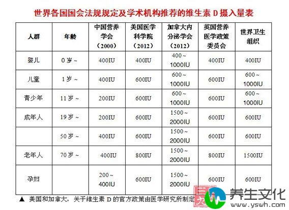 维生素D摄入量表