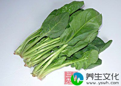 是辅助治疗糖尿病口渴喜饮的最佳蔬菜