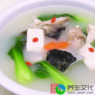 豆腐汤