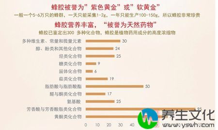 蜂胶被誉为紫色黄金或软黄金