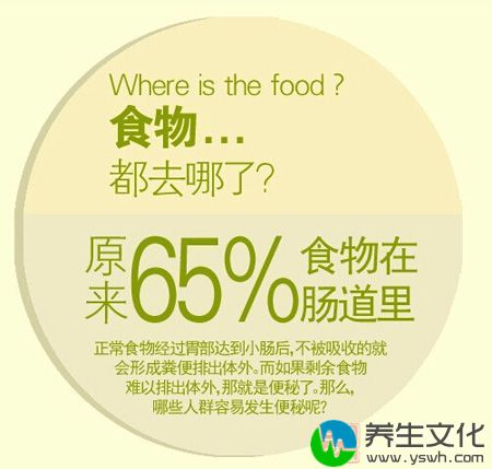 原来65%食物在肠道里