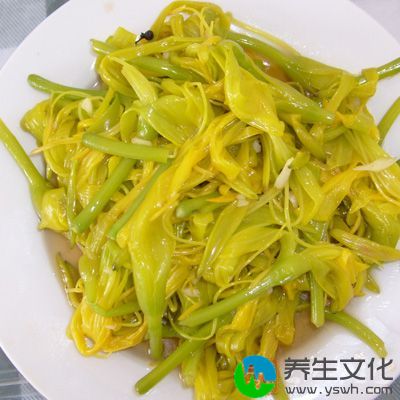 金针菜含铁数量最大，比大家熟悉的菠菜高了20倍