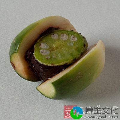 《本草正》中还说它“破气极速”。体质虚弱的白细胞减少者，切勿服食