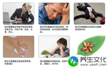 缺乏亮氨酸会出现体力衰竭、晕迷等症状