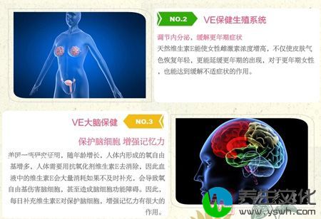 蛋白质营养知识