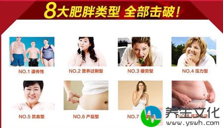 8大肥婆类型 全部击破