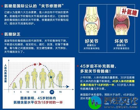 氨糖是国际公认的“关节修理师”