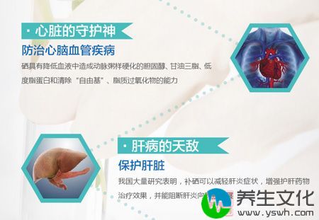 硒具有降低血液中造成动脉粥样硬化的胆固醇