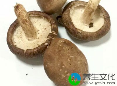 猪肝250克，虾仁25克，蘑菇40克，鸡蛋1只，番茄150克