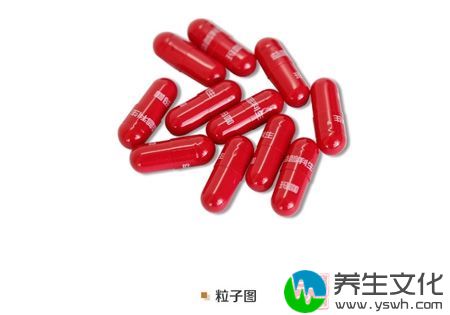 益普利生牌玛咖西洋参胶囊粒子图