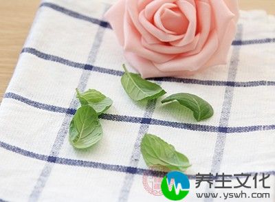 退热帖中所含的一些天然药物如薄荷、冰片等也有一定清凉降温作用