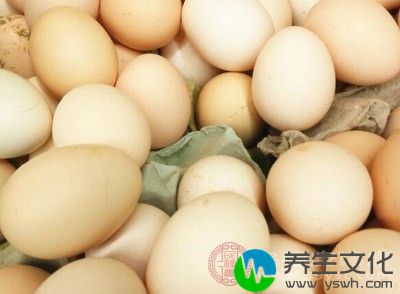 宝宝6个月可以吃什么辅食