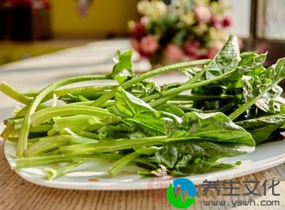 菠菜中富含铁和钙，很多孩子都不喜欢吃菠菜