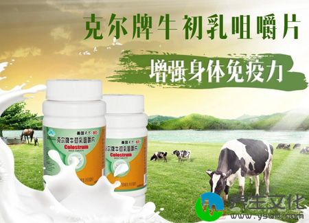 克尔牌牛初乳咀嚼片增强身体免疫力