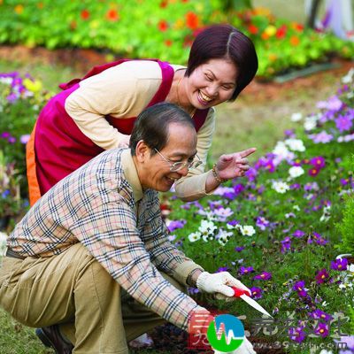 种花：陆游他把平日里种花当做是老年人有童心的方法