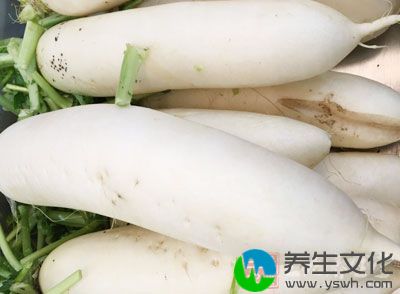 香菜去叶子留茎和根3-4根、白萝卜2-3片、生姜1-2片、加冰糖加水煮15分钟