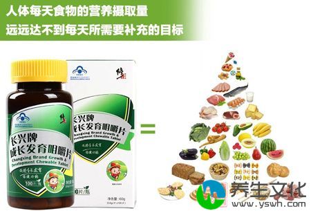 人体每天食物的营养摄取量不足