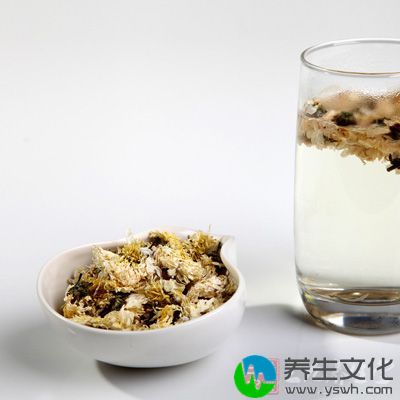 日常的生活中可以多喝菊花茶