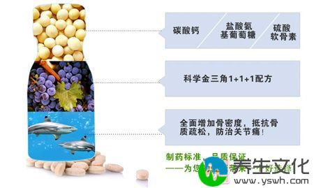 科学金三角1+1+1配方