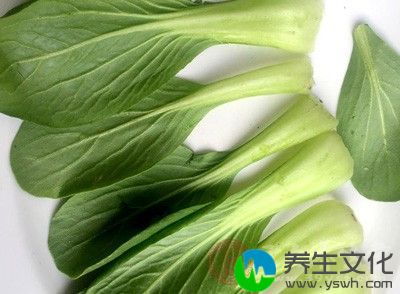 小白菜2棵，鱼丸4个，猪骨高汤50克