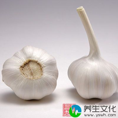 为良好的杀菌食物，能杀灭胃溃疡的致病祸首——幽门螺旋杆菌