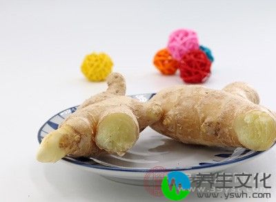 生姜含有丰富的挥发油、姜辣素等成分，一般都用来做佐料的，但是如果食用牛肉的时候最好不要加生姜，生姜性味辛温，一般阴虚内热者都应忌食